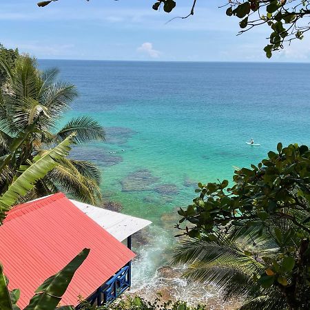 Tesoro Escondido Ecolodge Cabinas Bocas Town Bagian luar foto