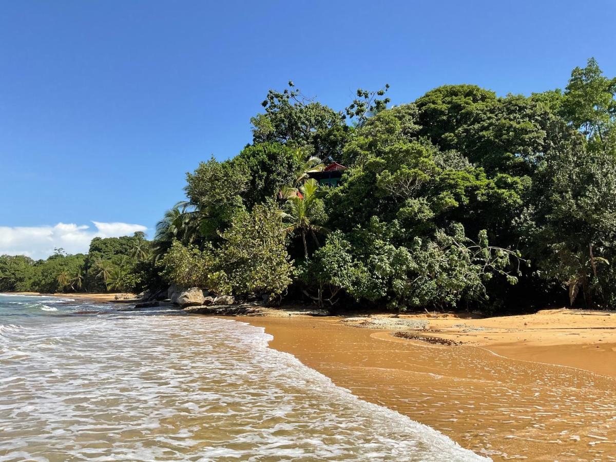 Tesoro Escondido Ecolodge Cabinas Bocas Town Bagian luar foto