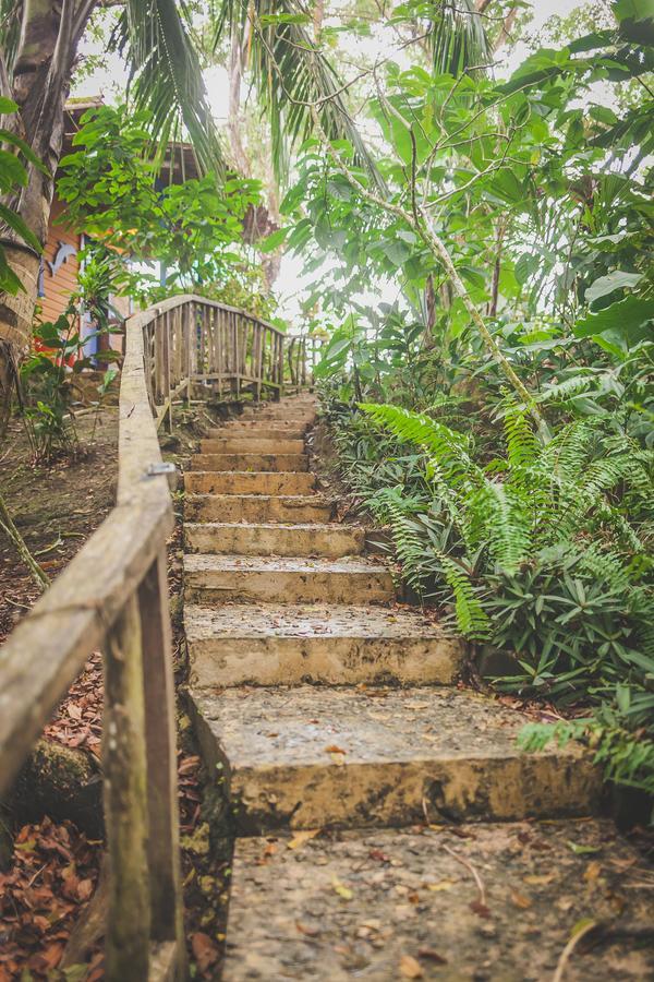 Tesoro Escondido Ecolodge Cabinas Bocas Town Bagian luar foto